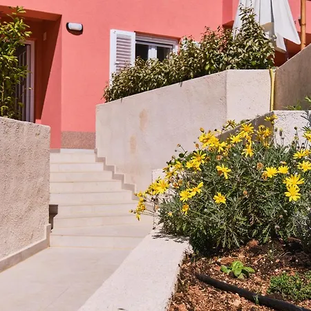 Meacres Sun * Miholascica