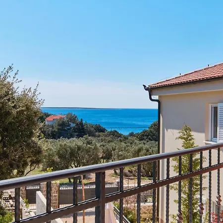 Meacres Sun * Miholascica