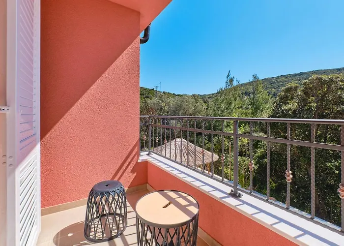 Meacres Sun Willa Miholascica