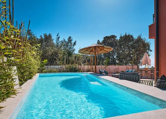 Meacres Sun Willa Miholascica