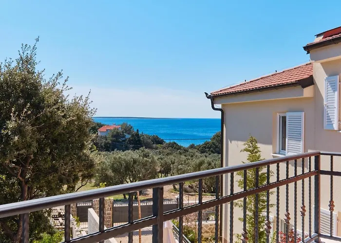 Meacres Sun * Miholascica